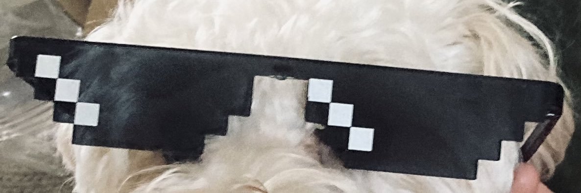 Fat Greta banner