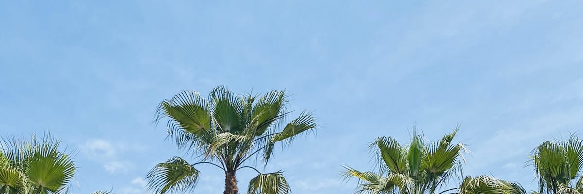 PWichlacz's profile banner image