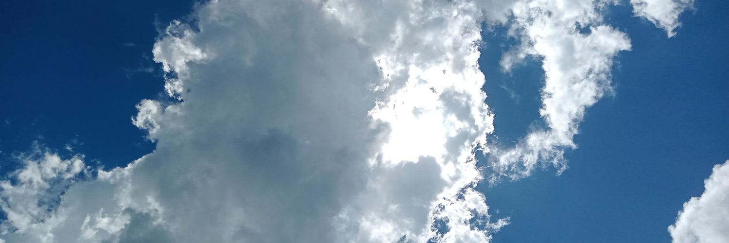 ふやま🍇 banner