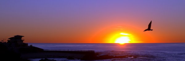 RecoverTeacher Profile Banner