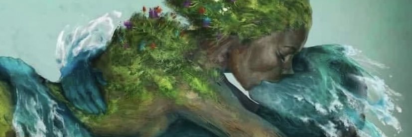 Peddlemoose's profile banner image