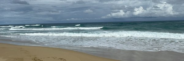 R_Rojas_Leon Profile Banner