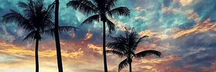 SolMariaMelo's profile banner image