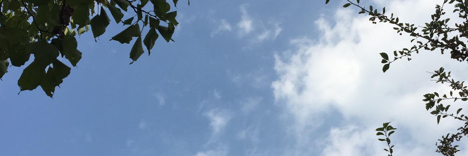 willysvill's profile banner image