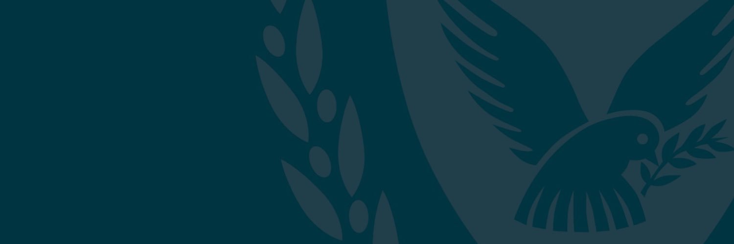 Cyprus MFA's banner