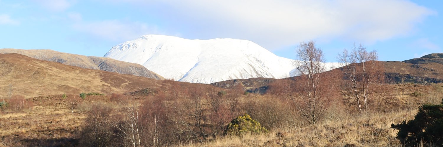 Lisa Rigg  banner