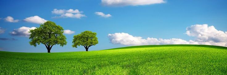 Andy Parmar banner