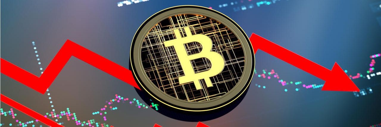 cryptobearrawr's profile banner image