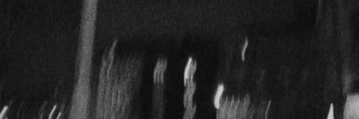 ricecake_moti18's profile banner image