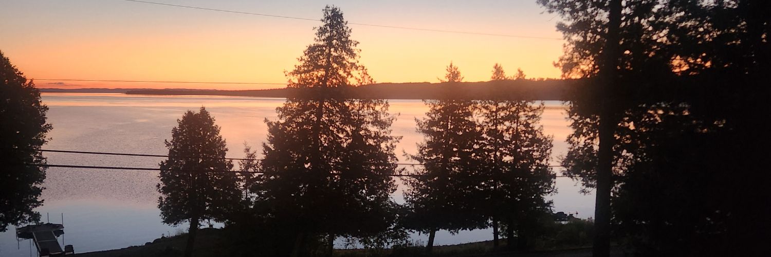 BillLloyd8's profile banner image