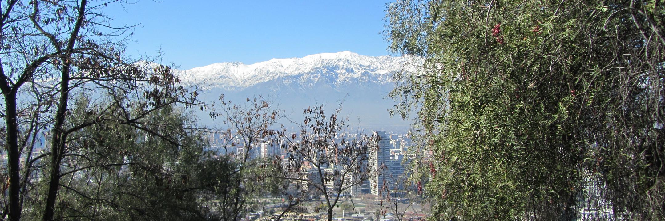 Emma Johnston banner