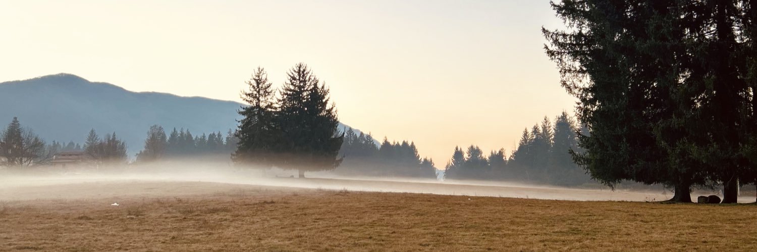 AlbaTaish's profile banner image