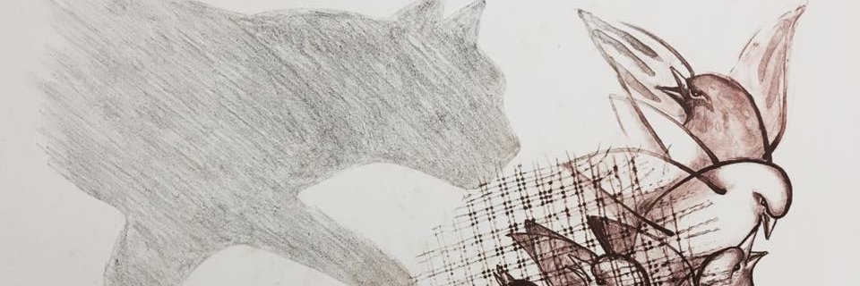 debribeiro's profile banner image
