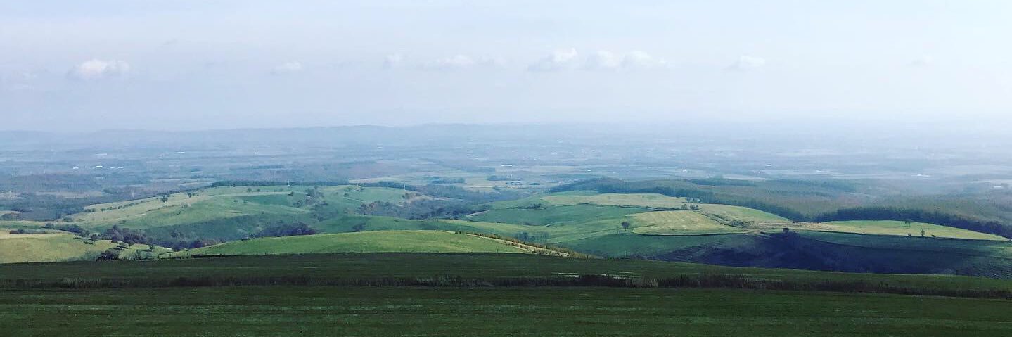 ノブ小田島🐮🥔（日本プロ麻雀協会） banner