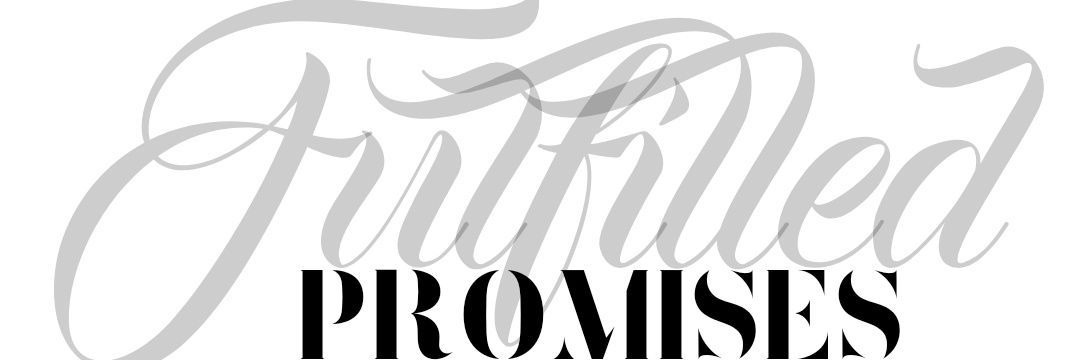 academicnom's profile banner image