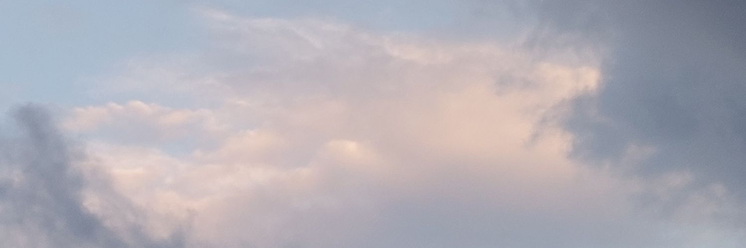 judy banner