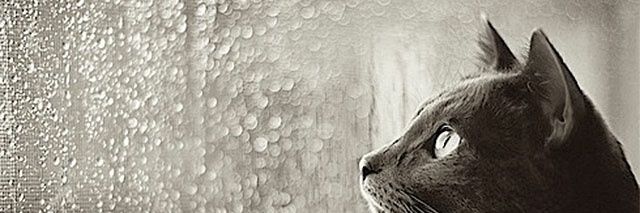 ぽき蔵交換 banner