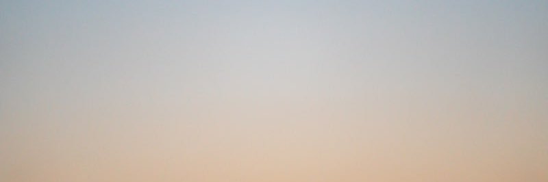 graceann's profile banner image