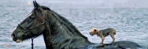 CoachMosley24 Profile Banner
