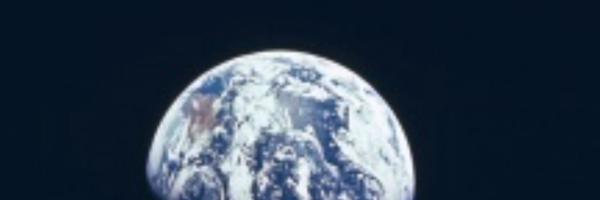 seijner Profile Banner