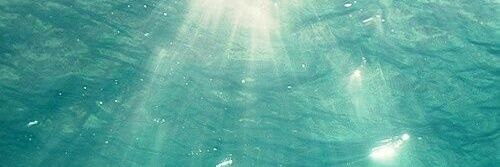 EdnaMCM's profile banner image