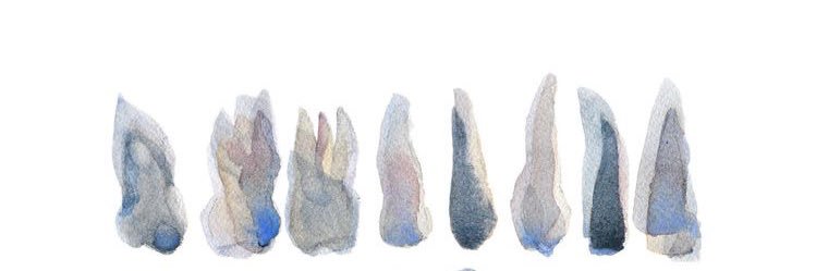Dr. Sarah 🦷 banner