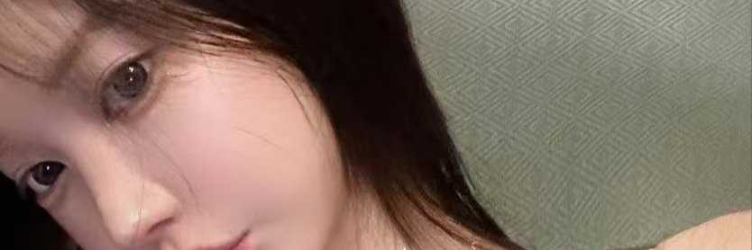 ERNIEkilledBERT's profile banner image