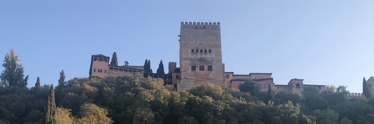 Centro Suárez Granada banner