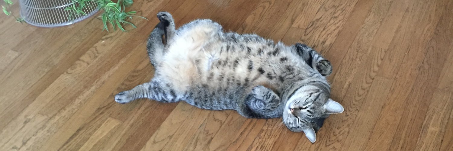 Aaron Burdette banner