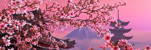 paulapolanco_ Profile Banner