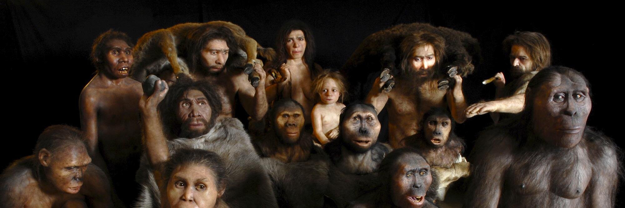 NeanderthalNews's profile banner image