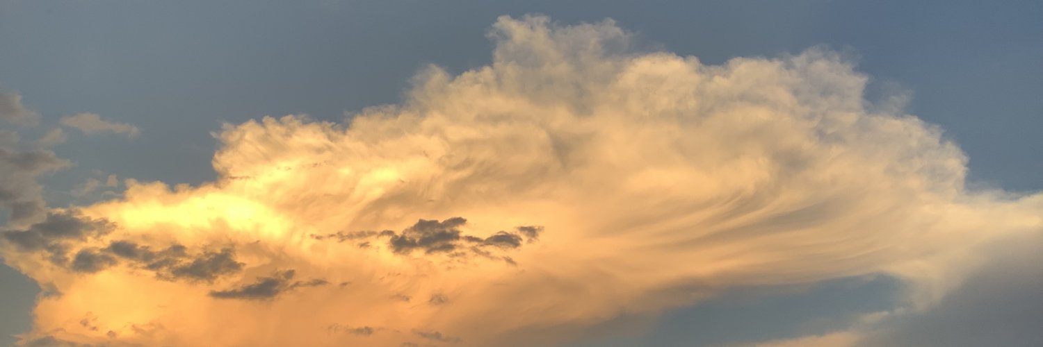 Devirupa Mitra banner