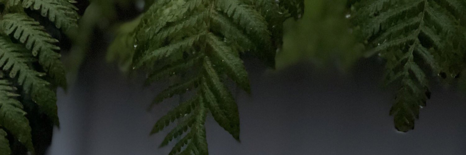 keanohh's profile banner image
