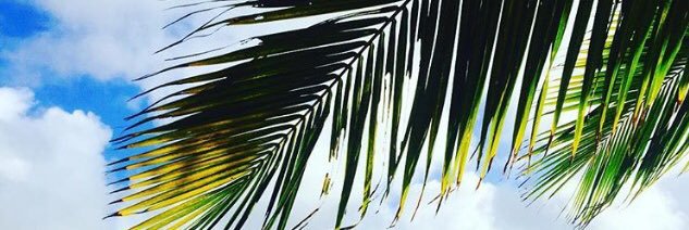 danielle760's profile banner image