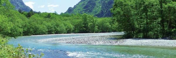 FXで600万失ったししゃも's banner
