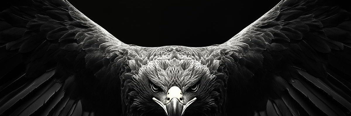 Hawkxchain's profile banner image