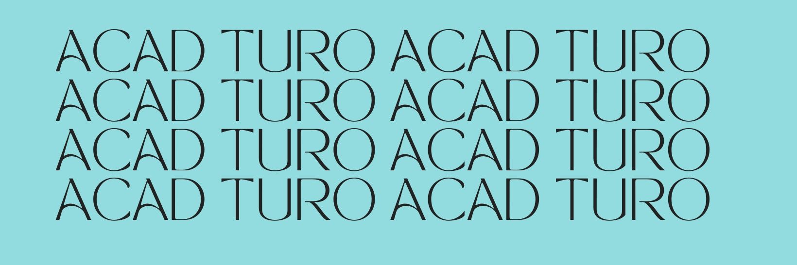 acadturo's profile banner image