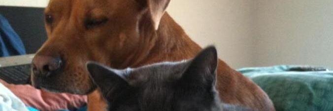 ListWithBrett's profile banner image