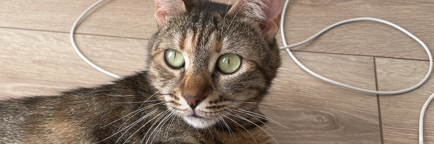 sbaumgerda's profile banner image