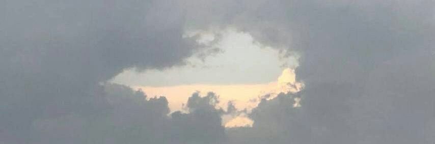 sashal1990's profile banner image