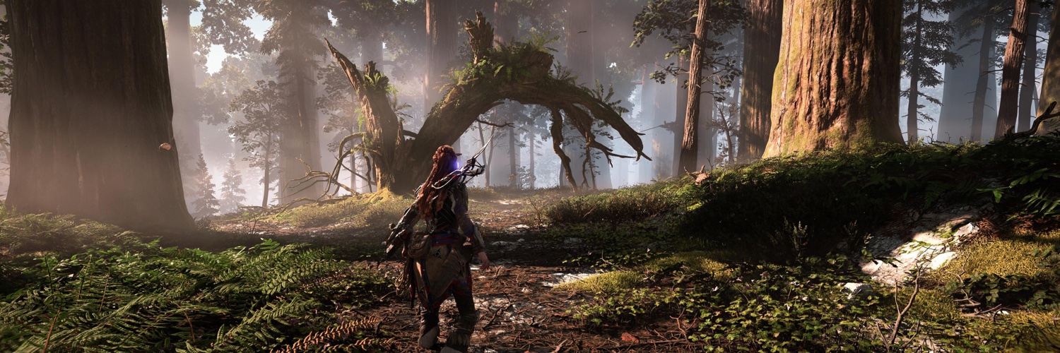 Maximilien Faubert banner