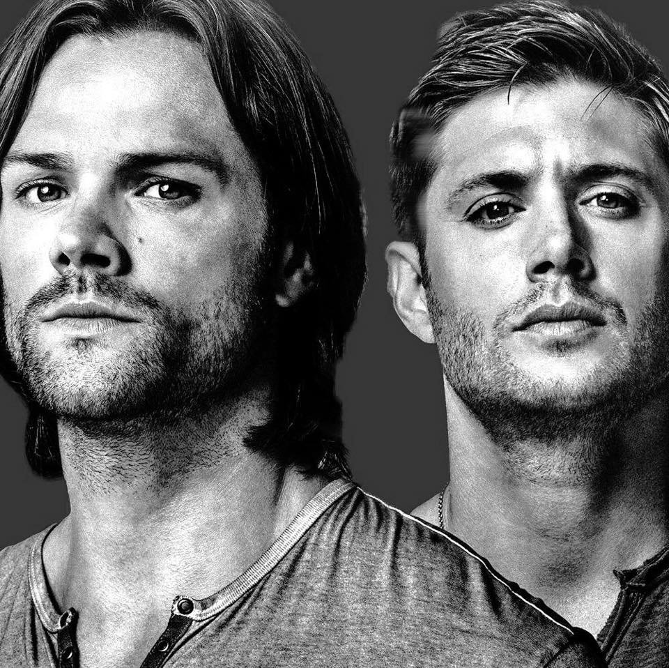 TheReplacer88's profile banner image