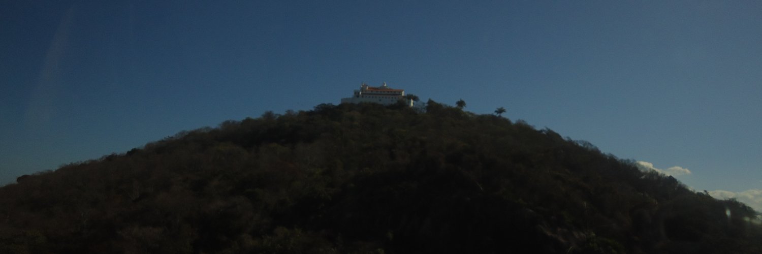 pneumoschiffler's profile banner image