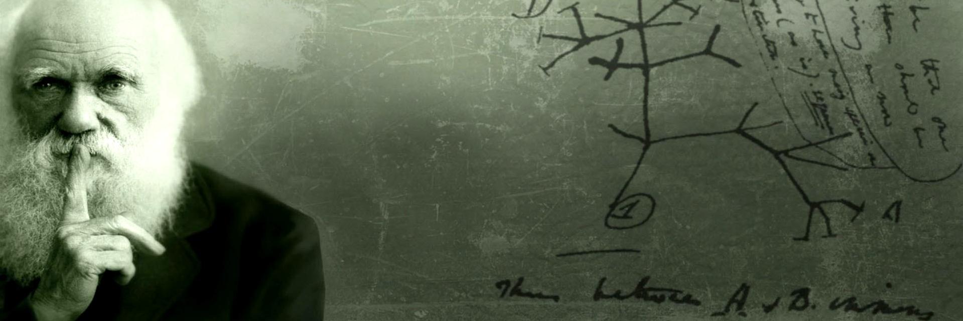 Konski_Slonski's profile banner image
