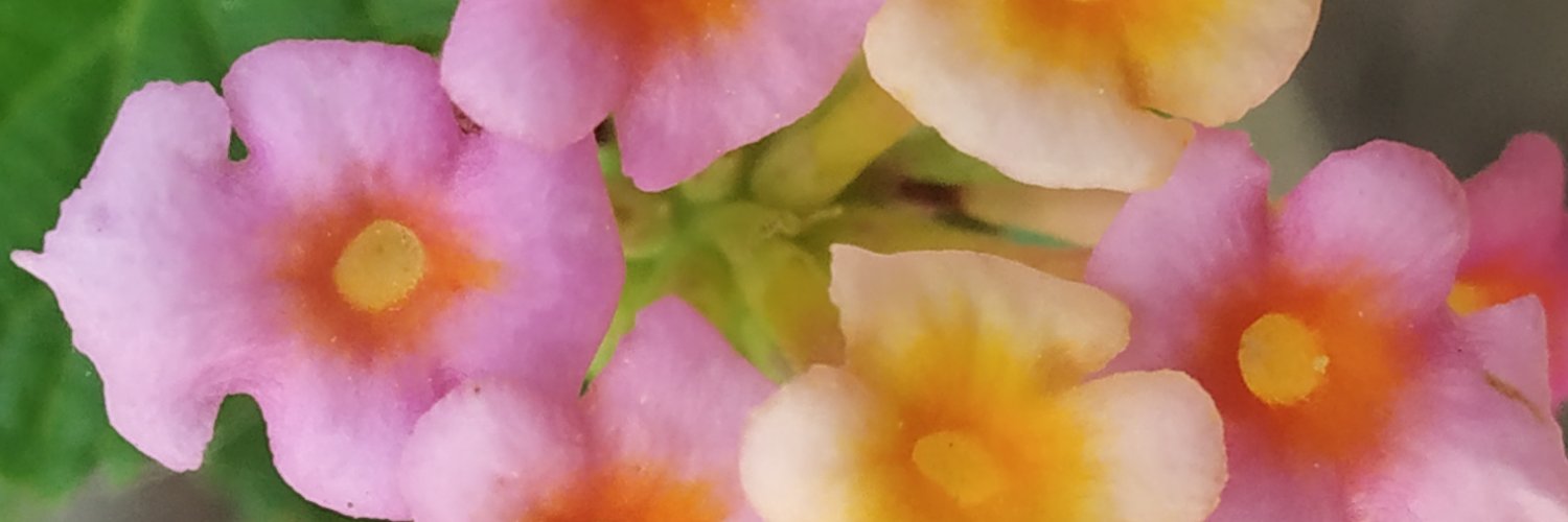 gmail_lakhan's profile banner image