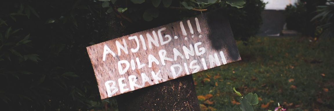 Lempeng banner