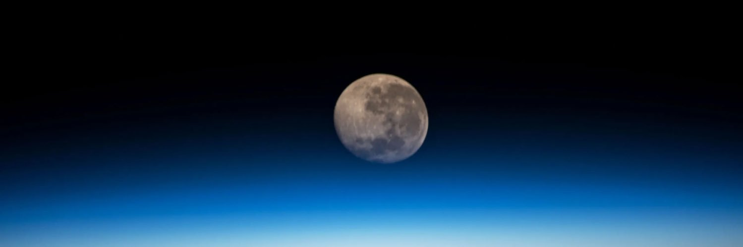 Bulliever🌖 banner