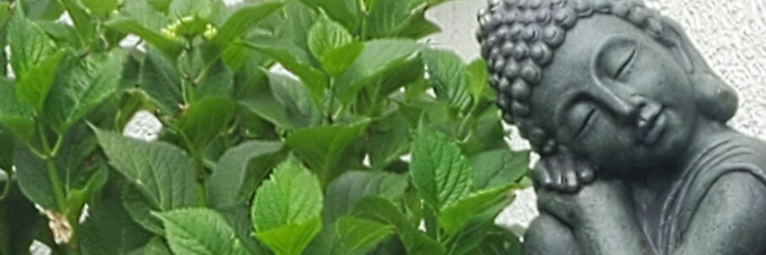 Vyv von Tvvitter's banner