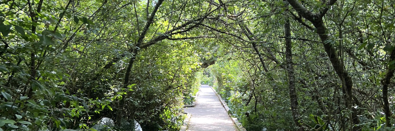 Andrea Sommer banner