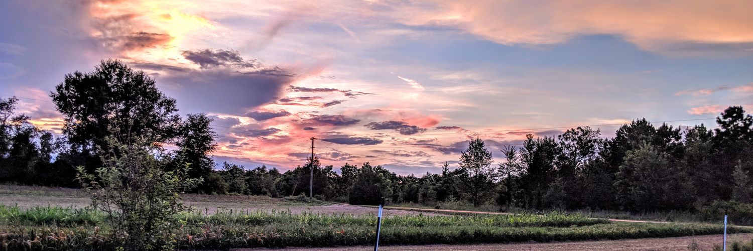 Megan (Always) Wright banner